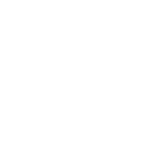 Schützenverein Wanfried 1568 e.V. Logo